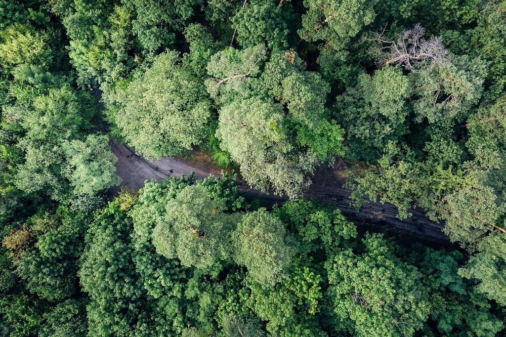 Researchers conducting field environmental studies