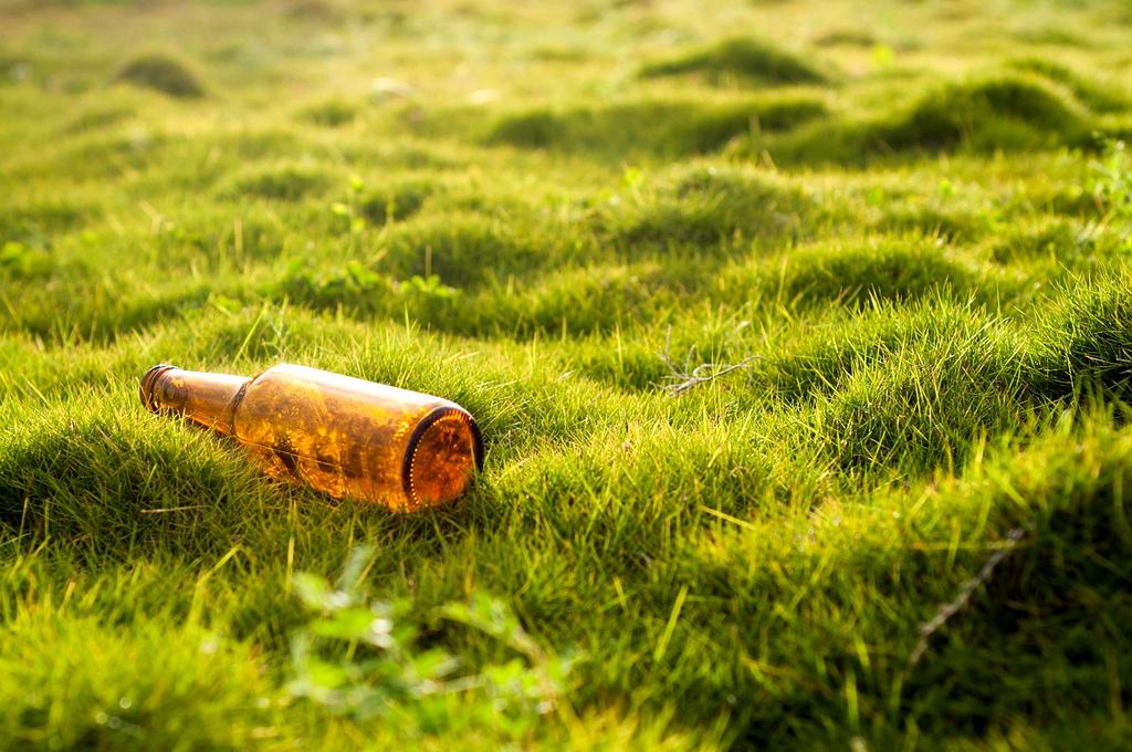 Environmental guidelines document preview